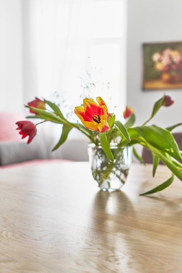 New And Lovely Apartament In Vilnius City Centre Zewnętrze zdjęcie